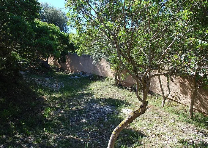 Con Terrazza Vista Mare A C51 *